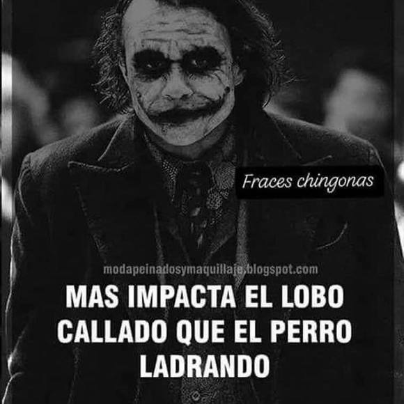 Meet your Posher, Saiselgi - Picture 1 of 1